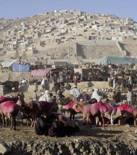Eid Afghanistan