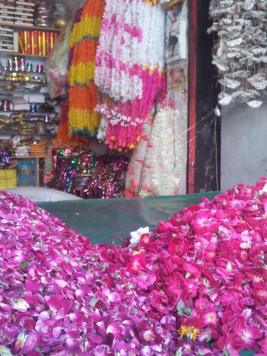 Gulshaan Roses Pakistan