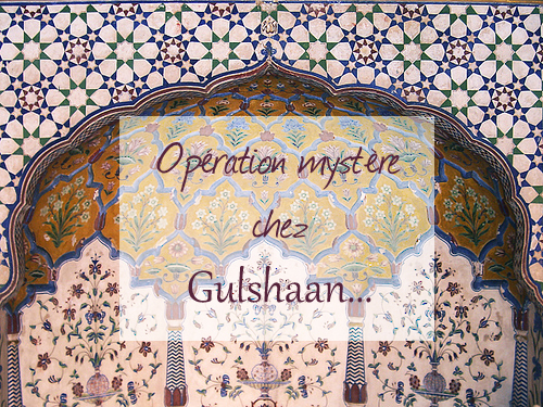 Opération Mystère chez Gulshaan