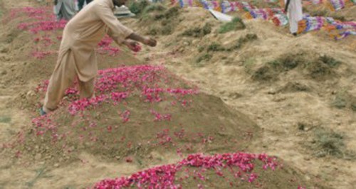 Gulshaan cimetière pakistan