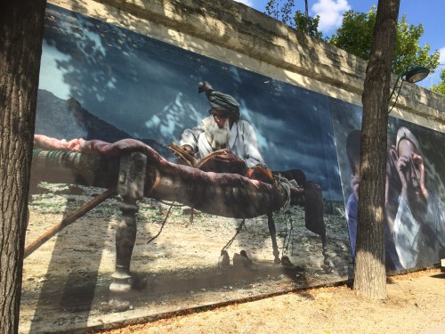 Reza Rêve d'humanité