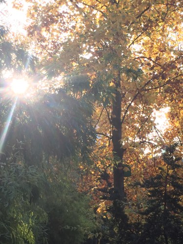 Shooting Gulshaan Paris