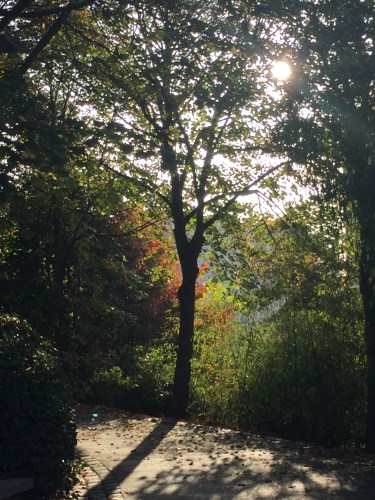 Shooting Paris Gulshaan