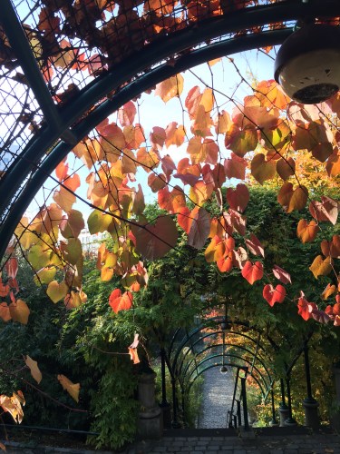 Shooting Gulshaan Paris