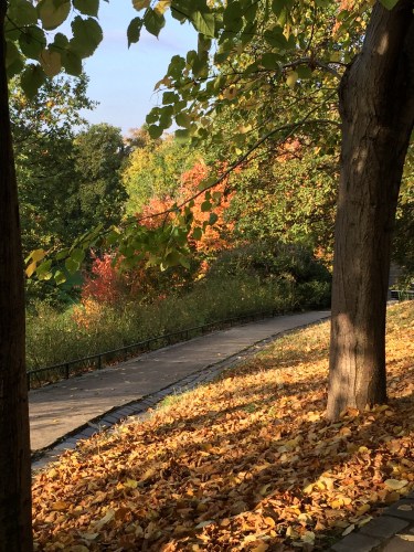 Gulshaan, marque de mode éthique